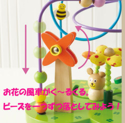 おさんぽくまさん