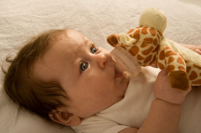 おしゃぶり付抱っこぬいぐるみ パシマルズ Pacimals ベビー キッズ雑貨と絵本のお店 Ami Saru